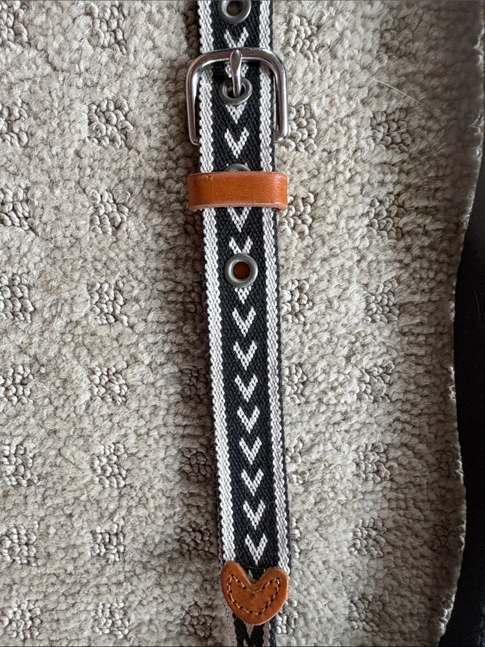 Women's Eddie Bauer Cascade Woven Belt in Navy and White